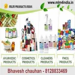 Mr Bhavesh Chauhan
