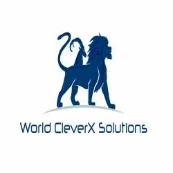 world cleverx solutions
