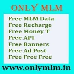 Only MLM