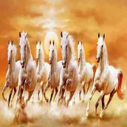 Anand Ravat