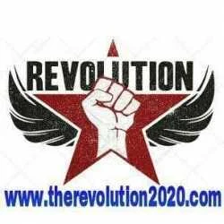 The Revolution 2020