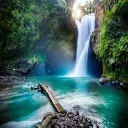 Vijay Dutta