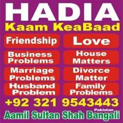 Aamil