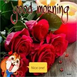 anchal