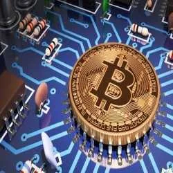GROW OWN BITCOIN DAILY
