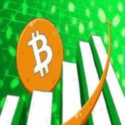  WWW.BITTERTRADE.COM,,,,,,,,,NEW LAUCHED COMPANY