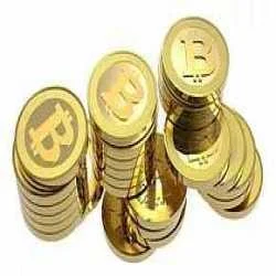 WWW.BITTERTRADE.COM,,,,,,DAILY EARN 500 DOLLAR