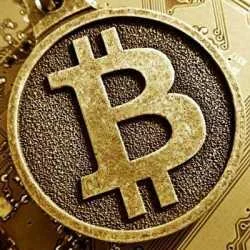 WWW.BITTERTRADE.COM,,,,,