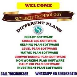 skysayani1