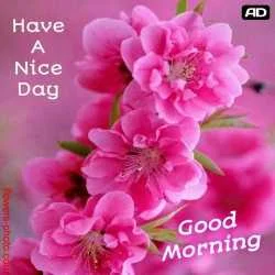 FARUK AHMED
