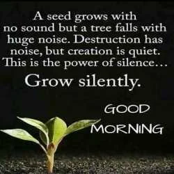 MLM Leader 