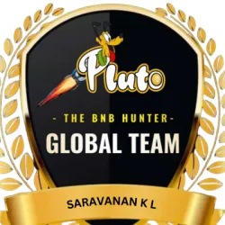 saravanan k l