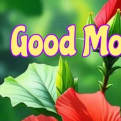 Gopi