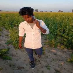 Vinod