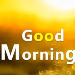 Jeevesh mishra