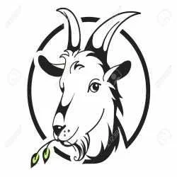 ROYAL AGRO PRODUCT & GOAT FARM