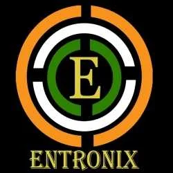 Entronix India