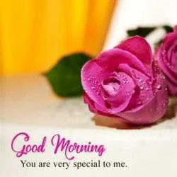 AMIT KUMAR SHARMA