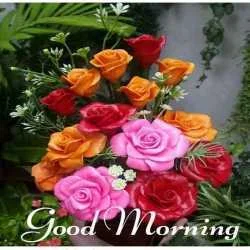 SUDHIR KUMAR
