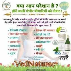 Vijay bahadur bhartiya