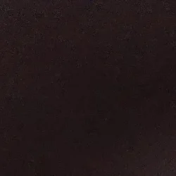 Raghav