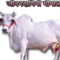 PANKAJ KUMAR