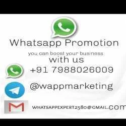 WHATSAPP PROMOTION