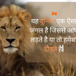 softwin infotech