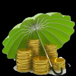 Umbrella Power Innovation