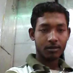 Anarul