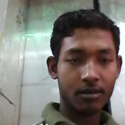 Anarul
