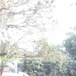 Prasenjit