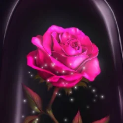 Shashi Verma