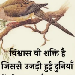 Birendra Singh