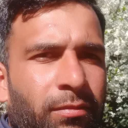 Ali Akbar