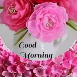 RAM SARAN