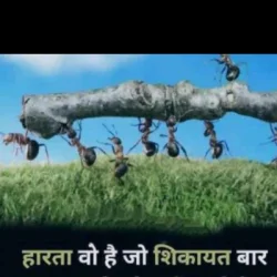 Gajraj Pippal