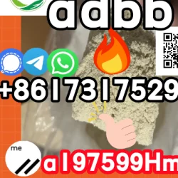 zxcvb123