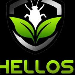 Hellos Pest