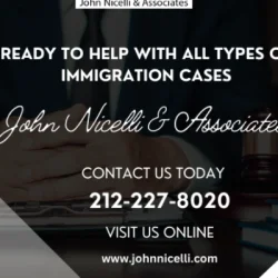 John Nicelli