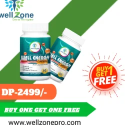 Wellzone Revoluation