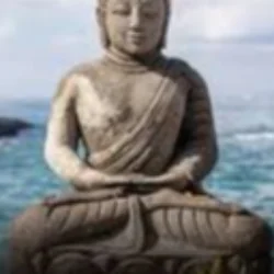 AMITA GURU