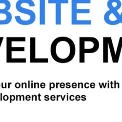 Software Developer