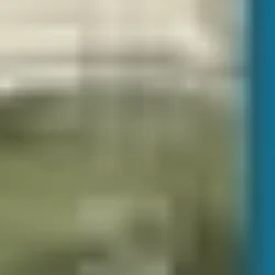 Amar