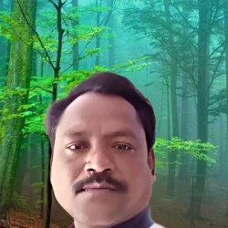Vilas Bawane