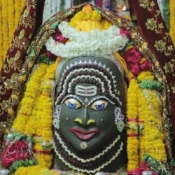 Neeru Nayak