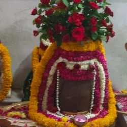 Palak