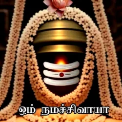 Ragothaman. C
