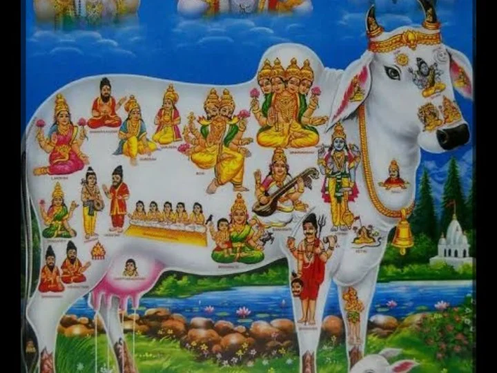 Vedanta Agro Allied Compa