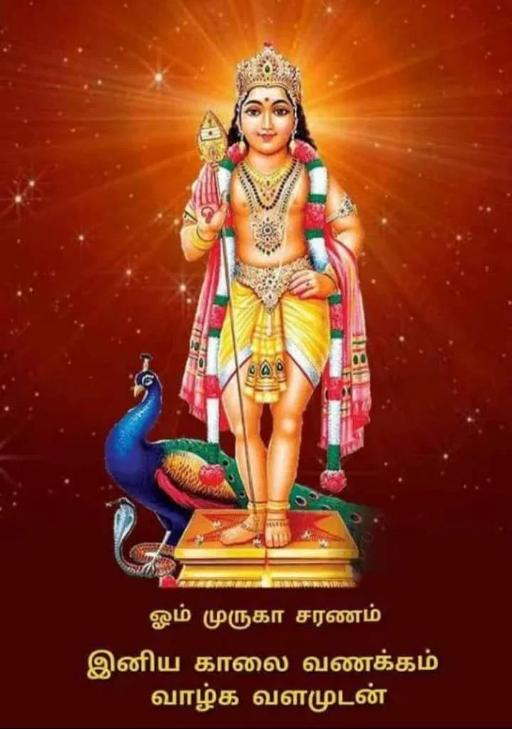 Chitra